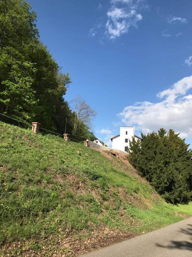 Domaine Du Haut-Koenigsbourg Orschwiller Exterior photo